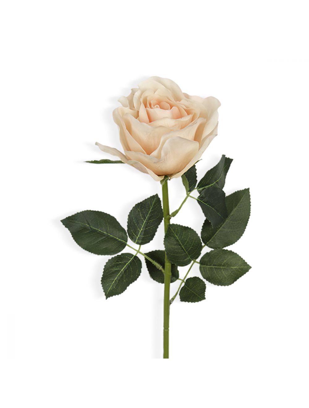 Rose Spray